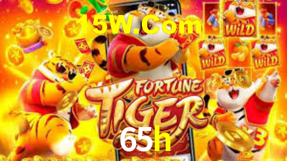 65h,65h.com